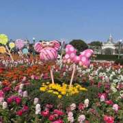 ヒメ日記 2026/03/30 08:07 投稿 ゆのん ハピネス東京