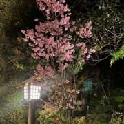 ゆのん おはよっ😆 ハピネス東京