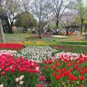 ヒメ日記 2026/04/18 09:07 投稿 ゆのん ハピネス東京