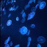 ヒメ日記 2025/10/19 12:13 投稿 みゆ 品川ミセスアロマ（ユメオト）