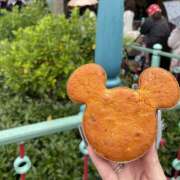 ヒメ日記 2025/11/09 16:17 投稿 みゆ 品川ミセスアロマ（ユメオト）