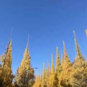 ヒメ日記 2025/11/23 12:21 投稿 みゆ 品川ミセスアロマ（ユメオト）