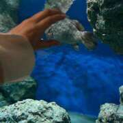 みゆ ☀️ 品川ミセスアロマ（ユメオト）