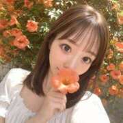 ヒメ日記 2026/09/11 10:45 投稿 小野きほ Finemotion