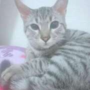 ヒメ日記 2025/10/13 22:34 投稿 ゆりな 奥様特急　池袋・大塚店