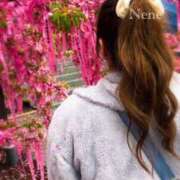 ヒメ日記 2026/03/04 14:35 投稿 ねね 横浜人妻花壇本店