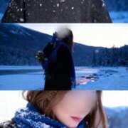 ヒメ日記 2025/11/12 14:33 投稿 さおり しろうさぎ