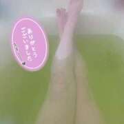 ヒメ日記 2026/01/14 12:13 投稿 さおり しろうさぎ