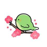 りな こんにちは✨ わちゃわちゃ密着リアルフルーちゅ西船橋