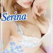 ヒメ日記 2025/11/09 13:34 投稿 せりな モアグループ神栖人妻花壇