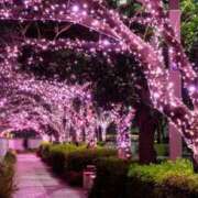 ヒメ日記 2025/11/12 23:08 投稿 せりな モアグループ神栖人妻花壇