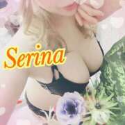 ヒメ日記 2025/11/18 14:37 投稿 せりな モアグループ神栖人妻花壇