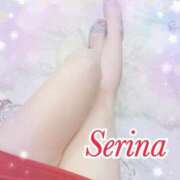 ヒメ日記 2025/11/19 17:35 投稿 せりな モアグループ神栖人妻花壇