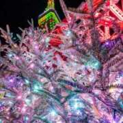 ヒメ日記 2025/11/20 01:10 投稿 せりな モアグループ神栖人妻花壇