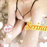 ヒメ日記 2025/11/20 15:03 投稿 せりな モアグループ神栖人妻花壇