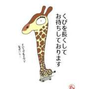 ヒメ日記 2025/11/21 19:53 投稿 せりな モアグループ神栖人妻花壇