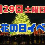 ヒメ日記 2025/11/29 01:18 投稿 せりな モアグループ神栖人妻花壇