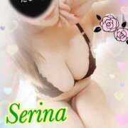 ヒメ日記 2025/12/02 15:37 投稿 せりな モアグループ神栖人妻花壇