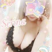 ヒメ日記 2025/12/02 16:47 投稿 せりな モアグループ神栖人妻花壇