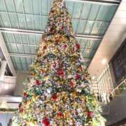 ヒメ日記 2025/12/03 21:31 投稿 せりな モアグループ神栖人妻花壇