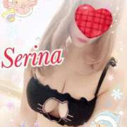 ヒメ日記 2025/12/05 15:50 投稿 せりな モアグループ神栖人妻花壇