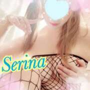 ヒメ日記 2025/12/08 19:37 投稿 せりな モアグループ神栖人妻花壇