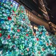 ヒメ日記 2025/12/09 13:43 投稿 せりな モアグループ神栖人妻花壇