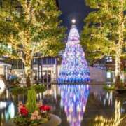 ヒメ日記 2025/12/11 05:51 投稿 せりな モアグループ神栖人妻花壇