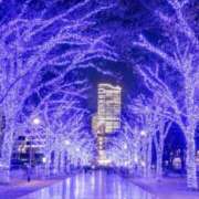 ヒメ日記 2025/12/14 02:44 投稿 せりな モアグループ神栖人妻花壇