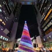 ヒメ日記 2025/12/15 12:13 投稿 せりな モアグループ神栖人妻花壇