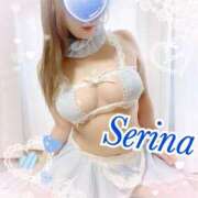 ヒメ日記 2025/12/15 16:43 投稿 せりな モアグループ神栖人妻花壇