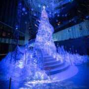 ヒメ日記 2025/12/16 14:07 投稿 せりな モアグループ神栖人妻花壇