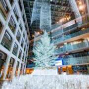 ヒメ日記 2025/12/20 19:39 投稿 せりな モアグループ神栖人妻花壇