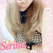 ヒメ日記 2025/12/22 16:31 投稿 せりな モアグループ神栖人妻花壇