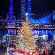 ヒメ日記 2025/12/26 19:57 投稿 せりな モアグループ神栖人妻花壇