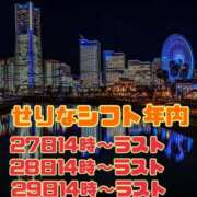 ヒメ日記 2025/12/27 02:18 投稿 せりな モアグループ神栖人妻花壇