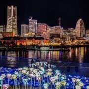 ヒメ日記 2025/12/30 11:09 投稿 せりな モアグループ神栖人妻花壇