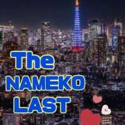 ヒメ日記 2026/01/23 12:37 投稿 せりな モアグループ神栖人妻花壇
