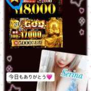 ヒメ日記 2026/01/25 02:31 投稿 せりな モアグループ神栖人妻花壇