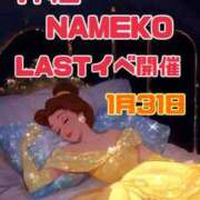 ヒメ日記 2026/01/31 13:37 投稿 せりな モアグループ神栖人妻花壇