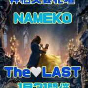ヒメ日記 2026/01/31 14:50 投稿 せりな モアグループ神栖人妻花壇