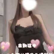 ヒメ日記 2026/05/03 12:05 投稿 るん The White