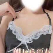 ヒメ日記 2026/05/17 07:44 投稿 るん The White
