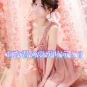 ヒメ日記 2026/06/04 00:01 投稿 るん The White