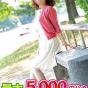 ねいろ 🌸おかえりなさいキャンペーン🌸 待ちナビ