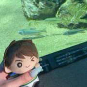 ねい はじめての…♡♡ クラスメイト