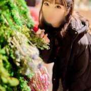 ヒメ日記 2026/02/19 11:40 投稿 ★みずき Le CELINU（ル・セリーヌ）