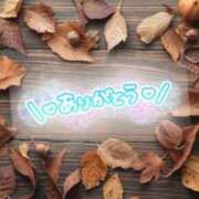 ヒメ日記 2025/11/10 01:52 投稿 福田 にこ こあくまな熟女たち 池袋店(KOAKUMAグループ)