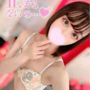 エリサ※現役単体AV女優♪ 🔞人生初めて貰っちゃおッと💗 きらめけ！にゃんにゃん学園in大宮