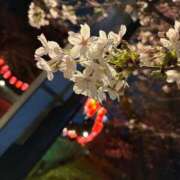 ヒメ日記 2026/03/23 11:28 投稿 かれん★恋人感◎母性溢れる美女 Chloe錦糸町店 S級素人清楚系デリヘル